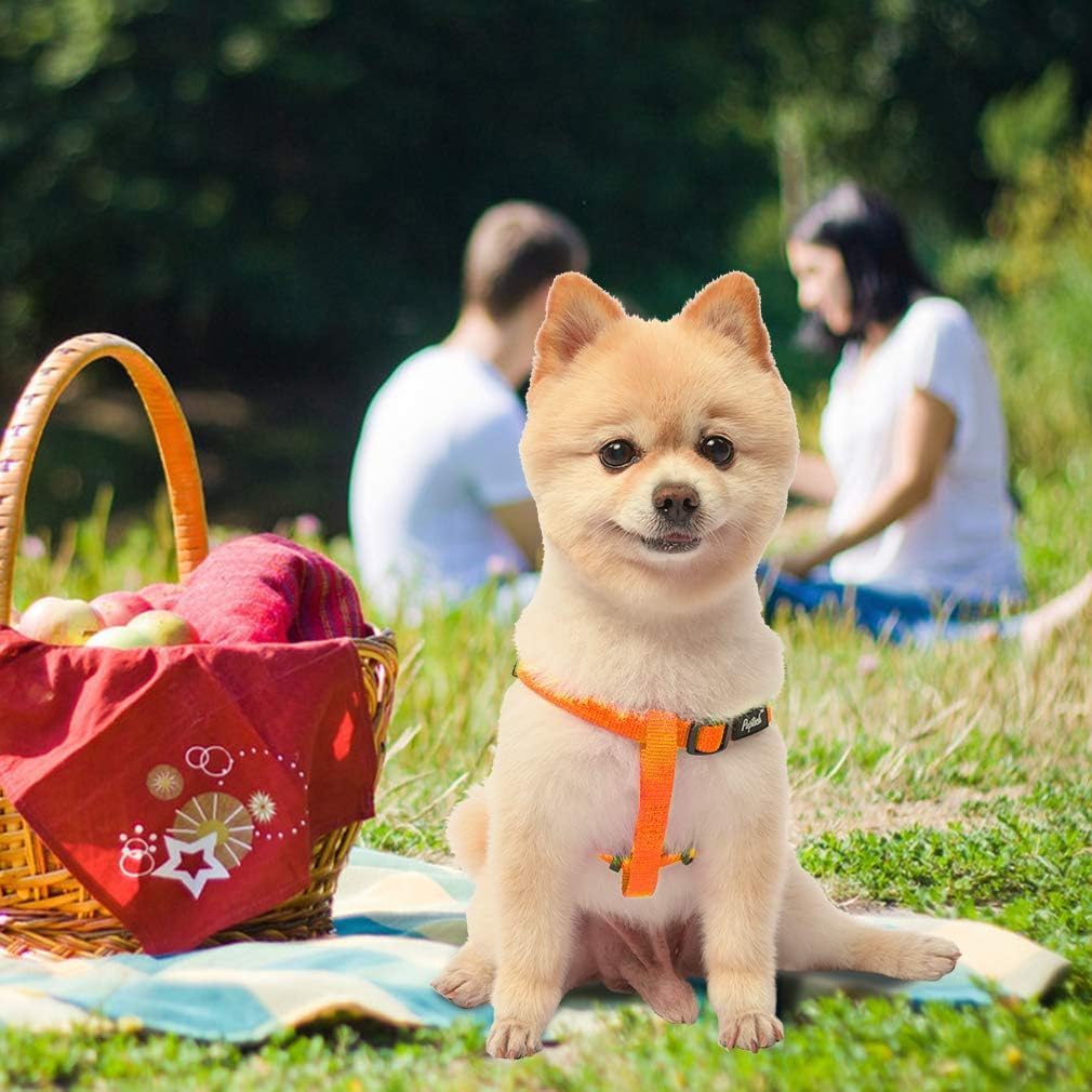 PUPTECK paseo cómodo con arnés naranja para perro
