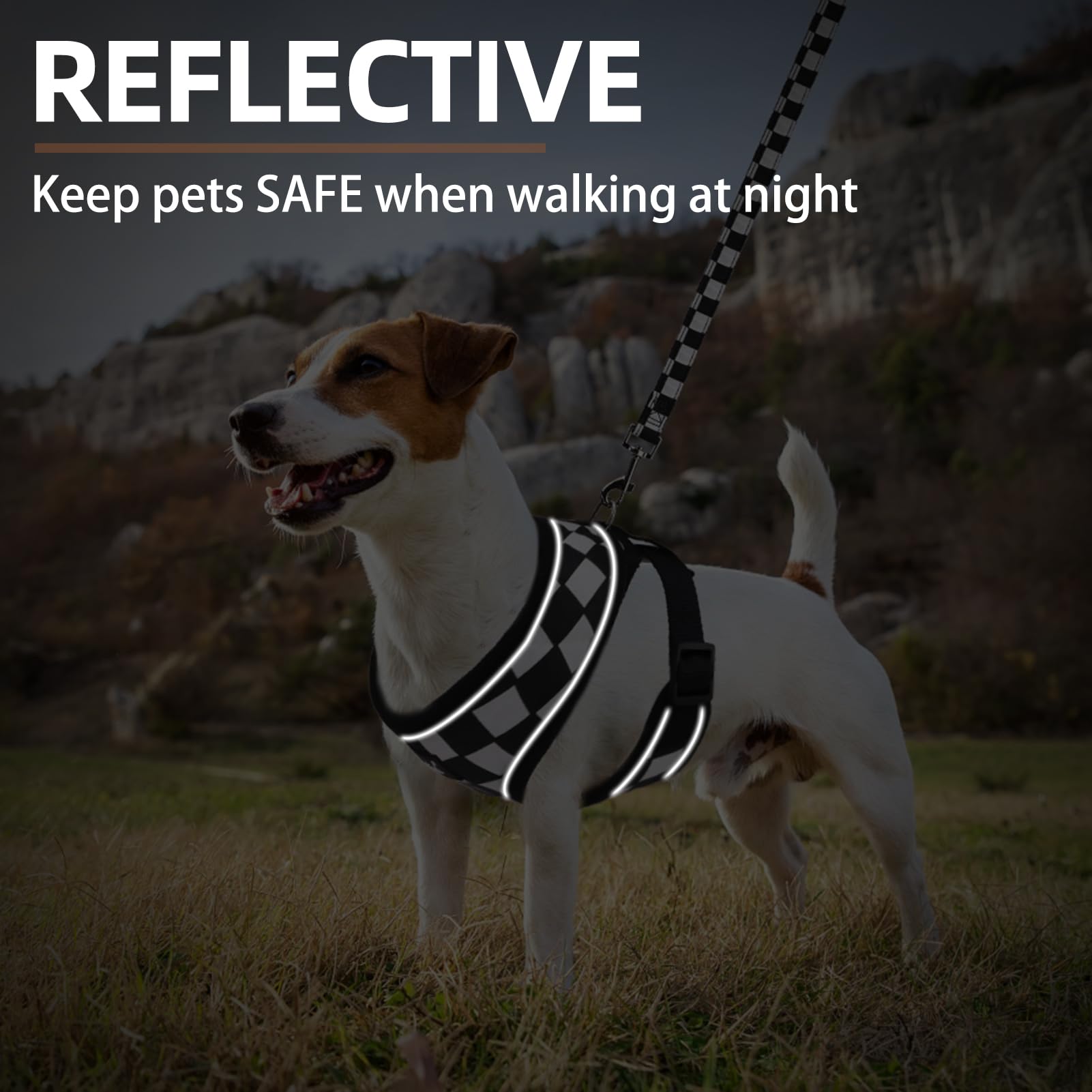 PUPTECK diseño clásico de cuadros para paseos diarios con estilo.