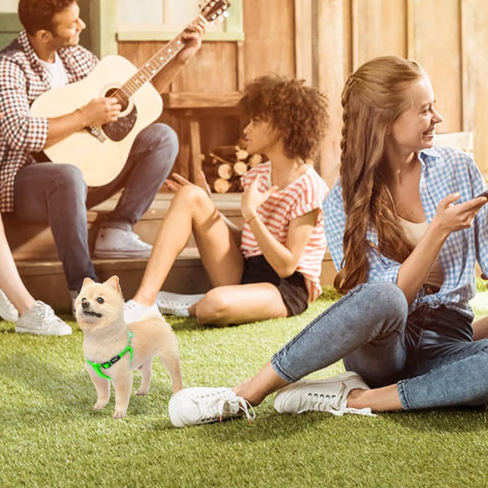 Paseos diarios más simples con el arnés PUPTECK verde