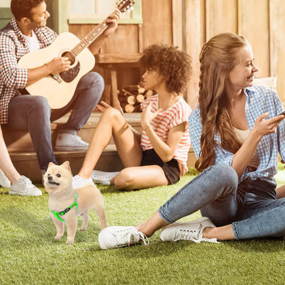 Paseos diarios más simples con el arnés PUPTECK verde