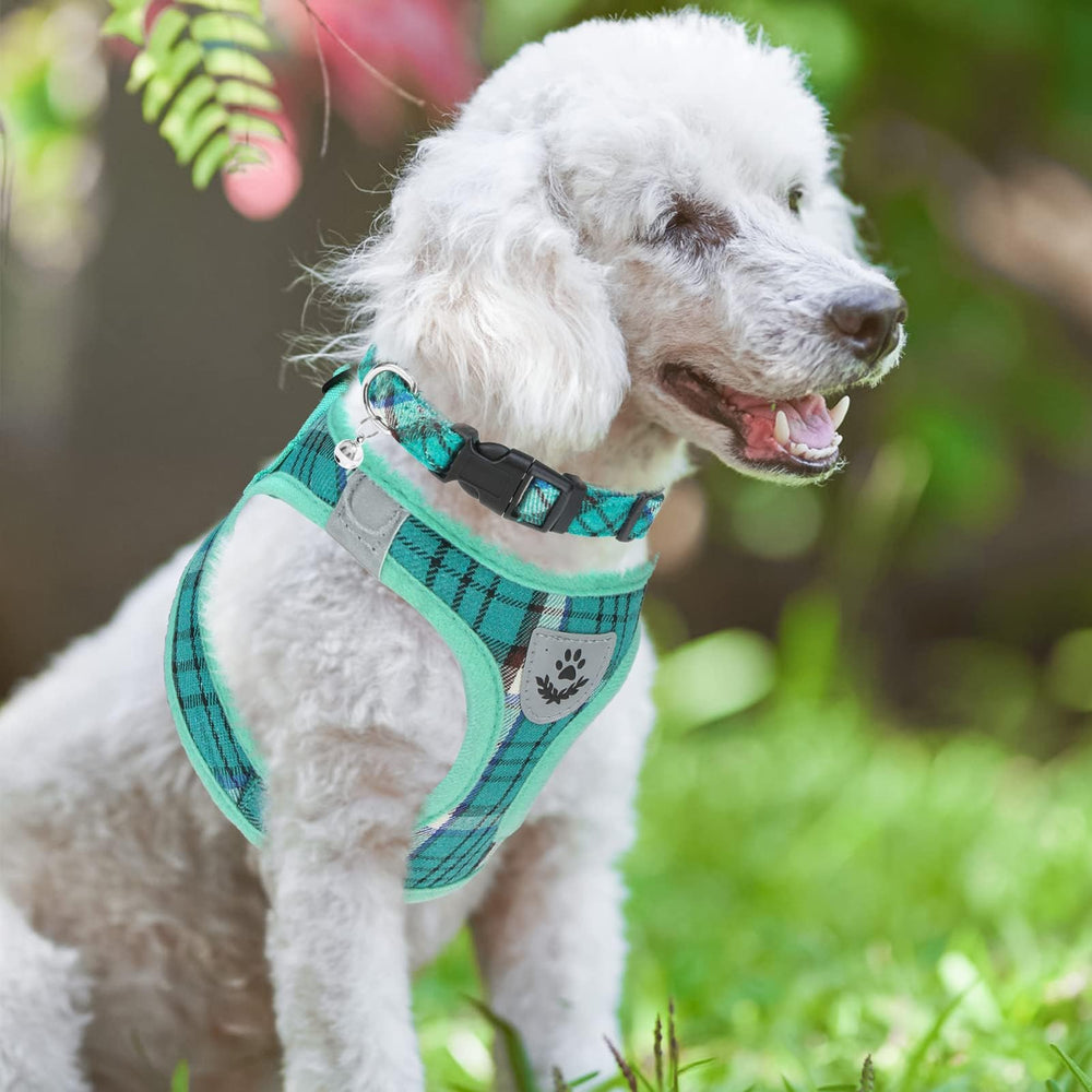 Diseño único de cuadros PUPTECK, estilo distintivo para mascotas.