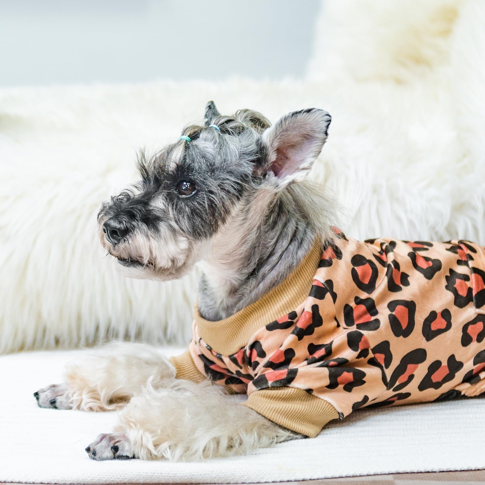 PUPTECK Pijama perro lavado-facil, apta para lavados suaves.