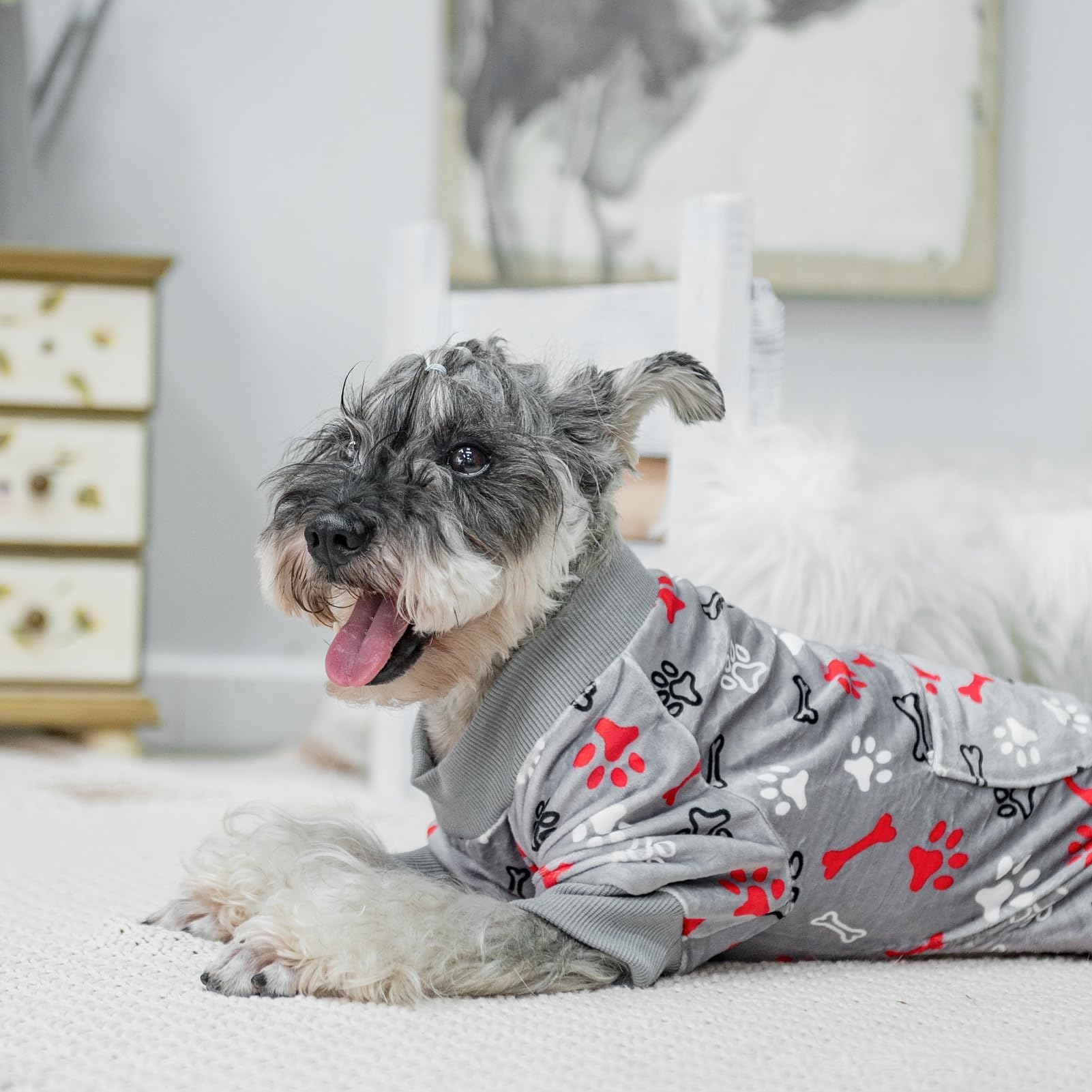 PUPTECK pijama para perro lavado-facil, apta para lavado a máquina
