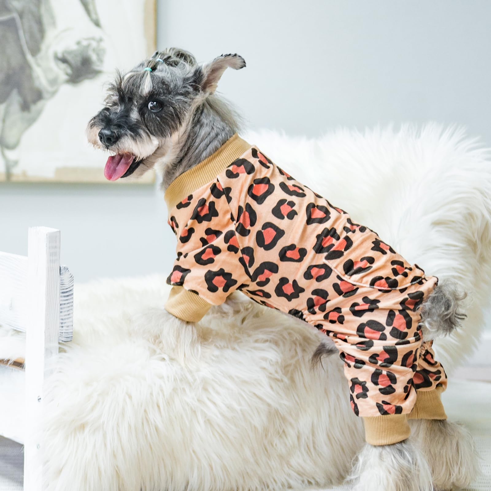 PUPTECK Pijama perro uso-indoor, ideal para casa y salidas cortas.