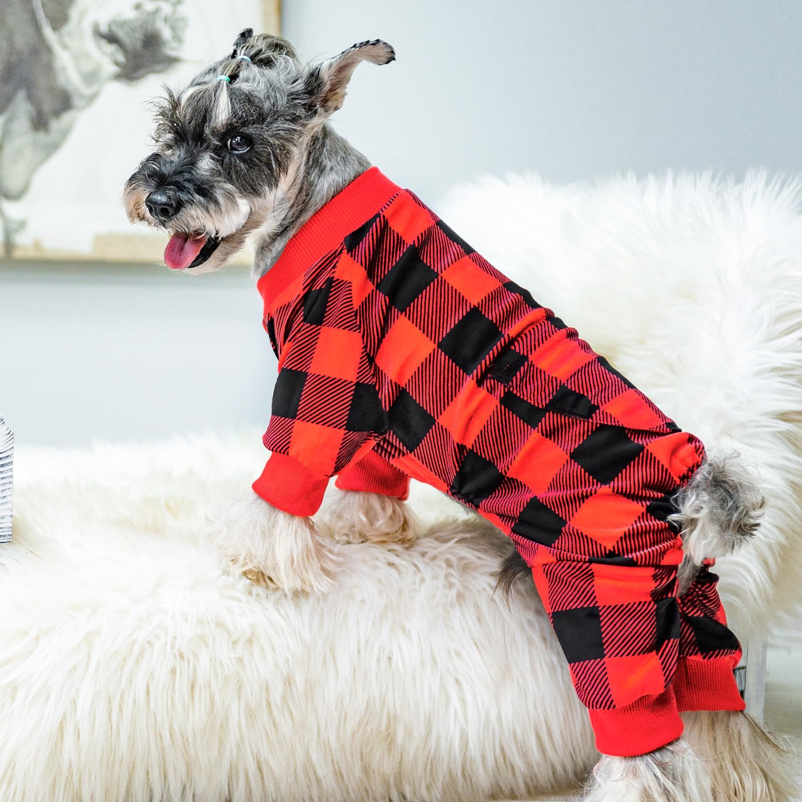 PUPTECK pijama perro uso interior y exterior, ideal para días fríos.