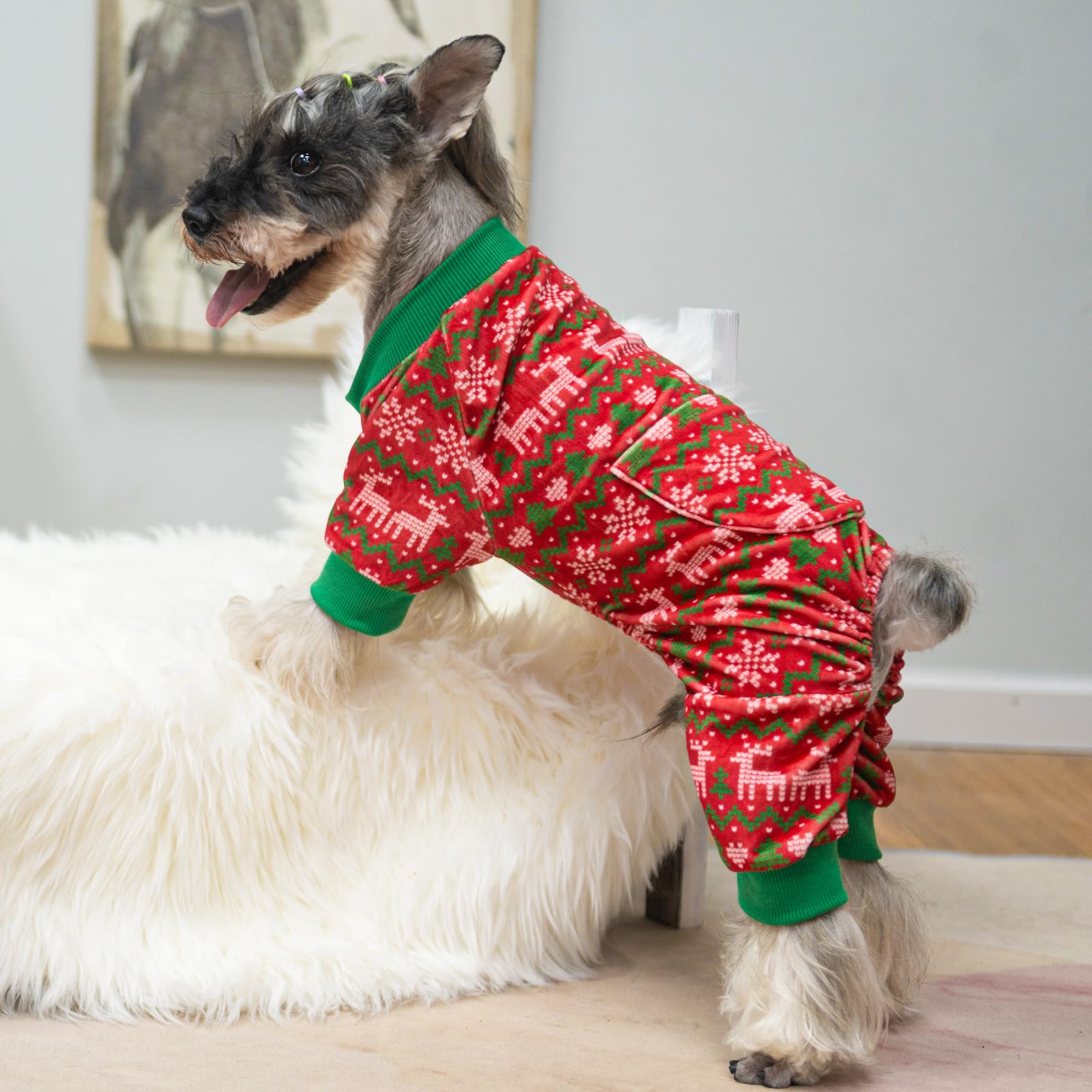 PUPTECK pijamas para interior, diseño fácil de vestir