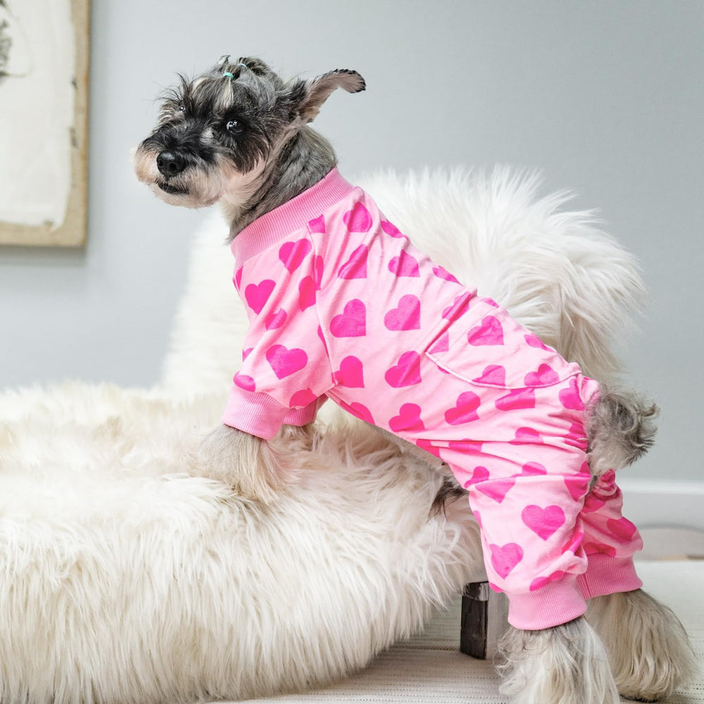 PUPTECK pijamas para perro, diseño casual para uso diario