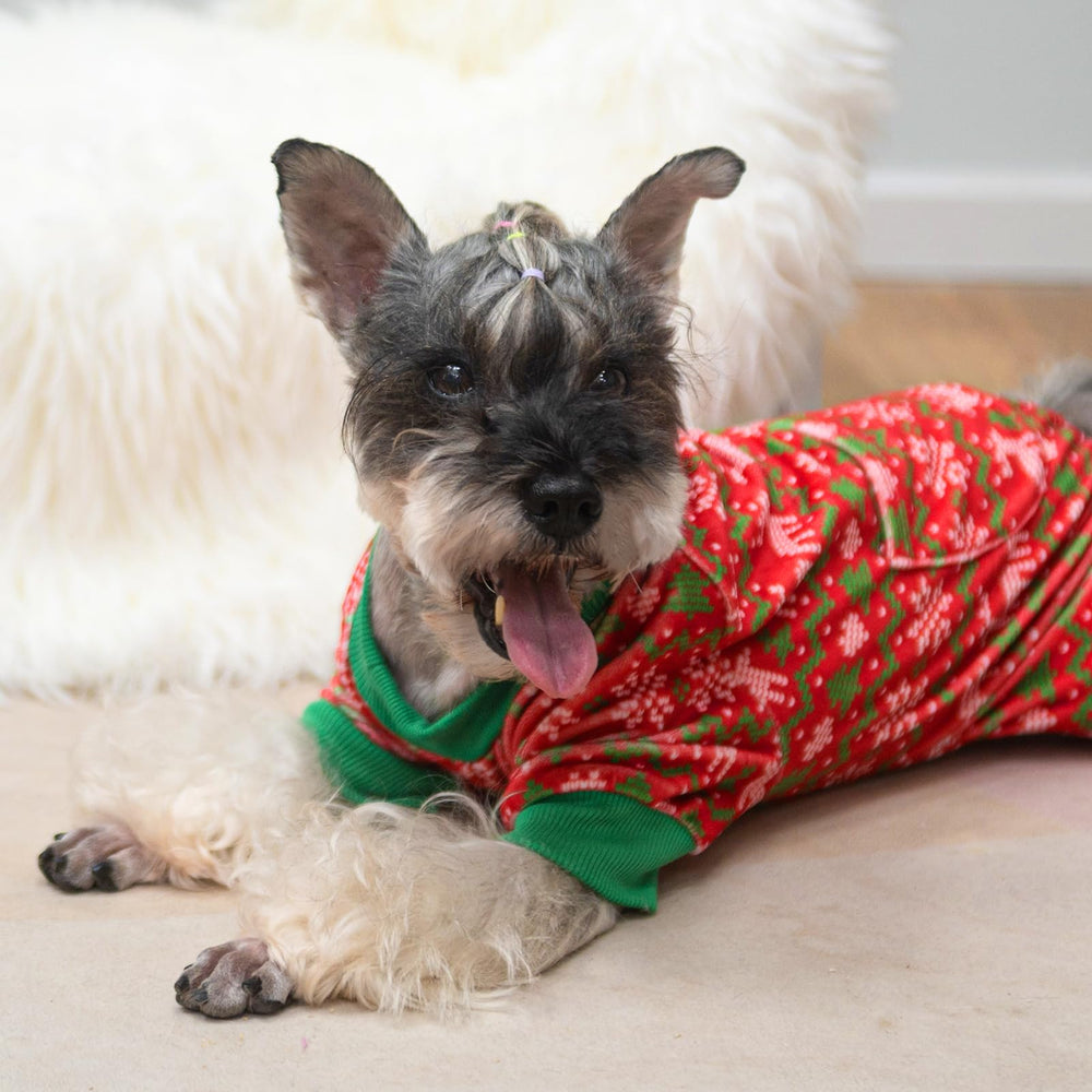 PUPTECK pijamas para perro pequeño, calor suave para noches
