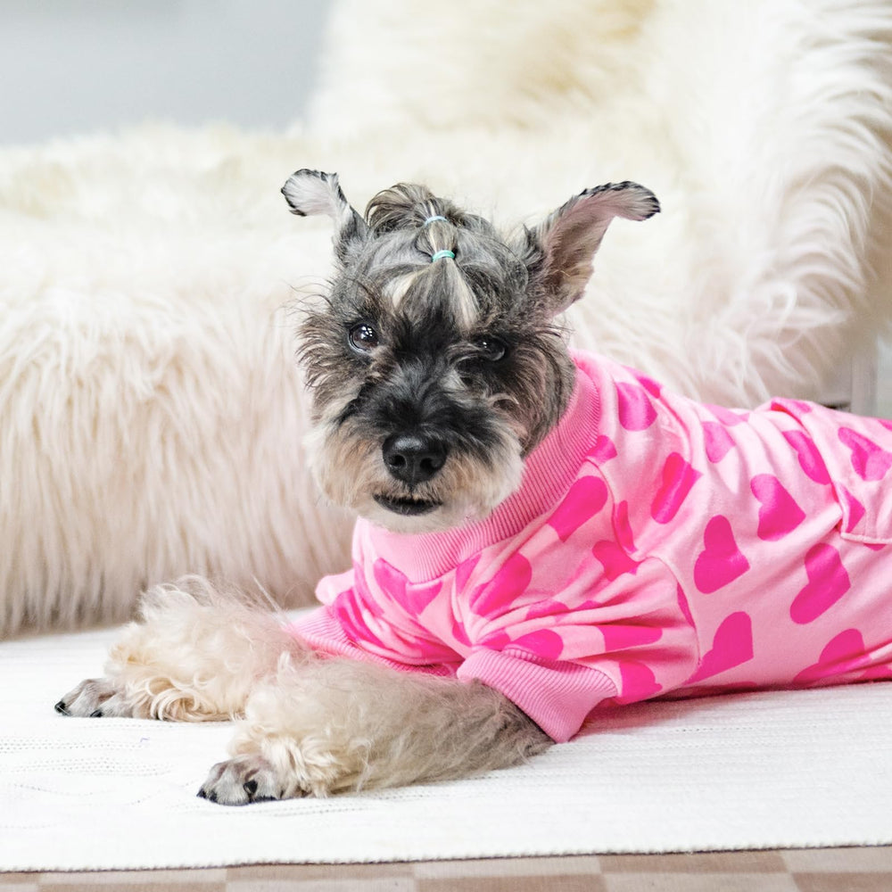 PUPTECK pijamas para perro, uso interior-exterior con ajuste cómodo