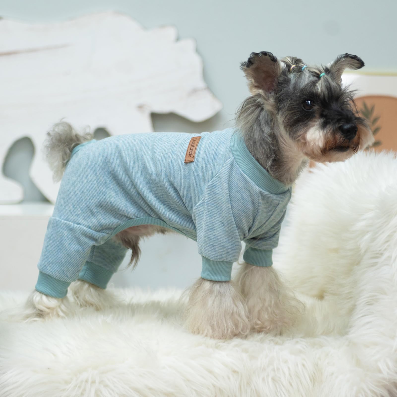 PUPTECK Pijama para perro, disponibles en varios colores para combinar con su estilo.