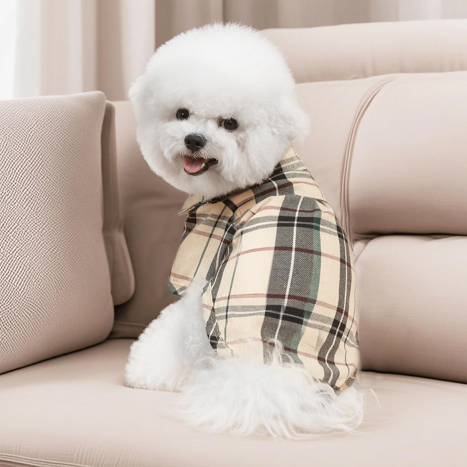 PUPTECK apariencia elegante para bodas o fiestas con pelaje cómodo.