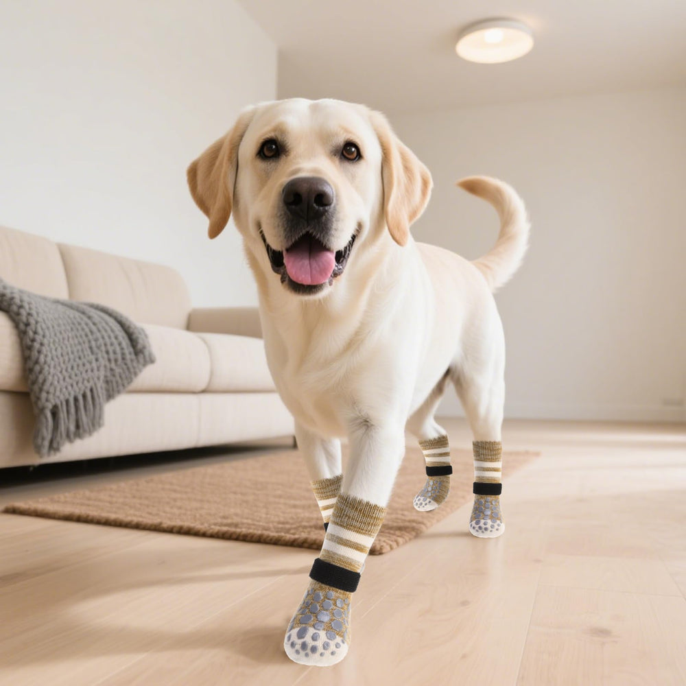 PUPTECK protege patas en verano e invierno con diseño duradero