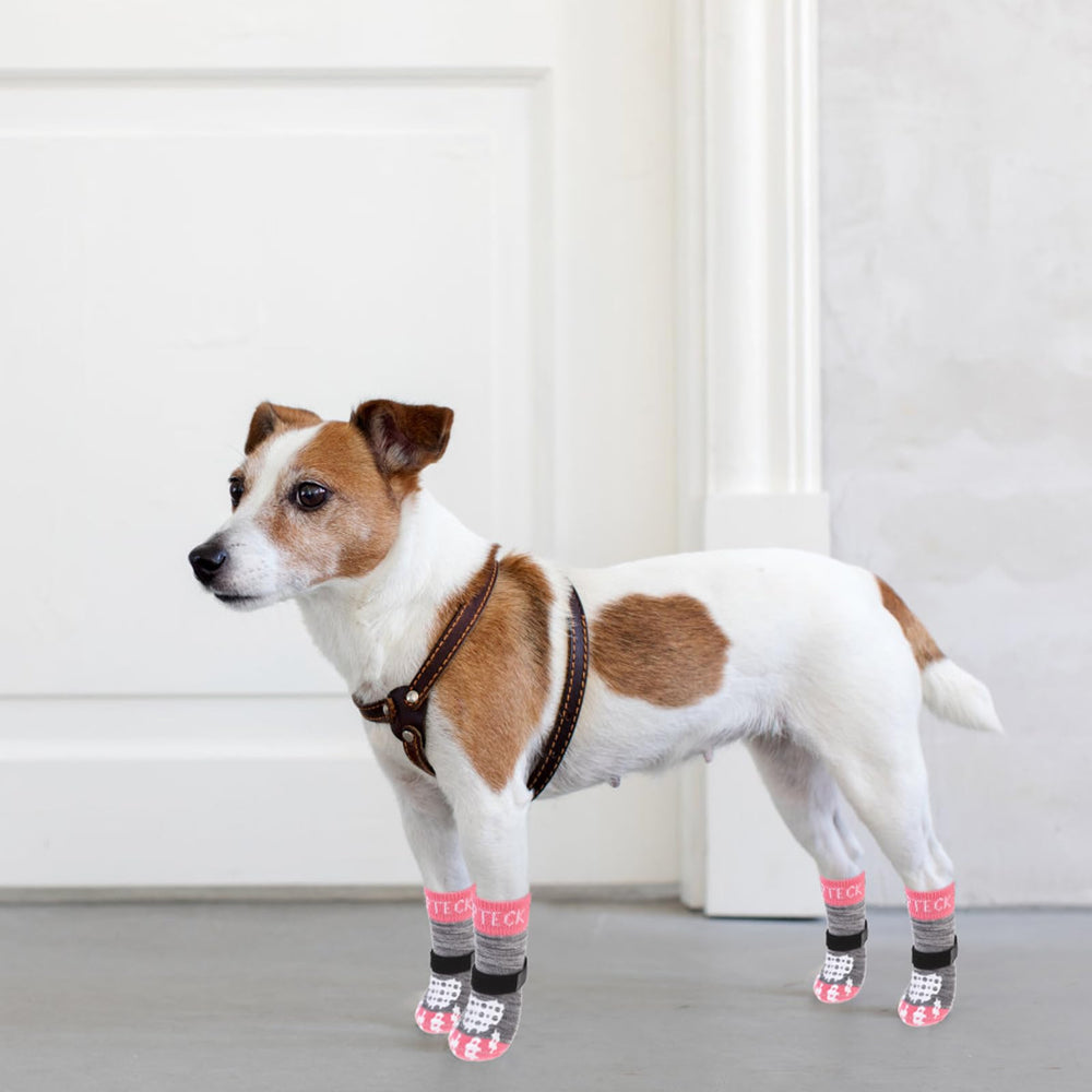 Pupteck protege las patas con diseño cómodo y respirable.