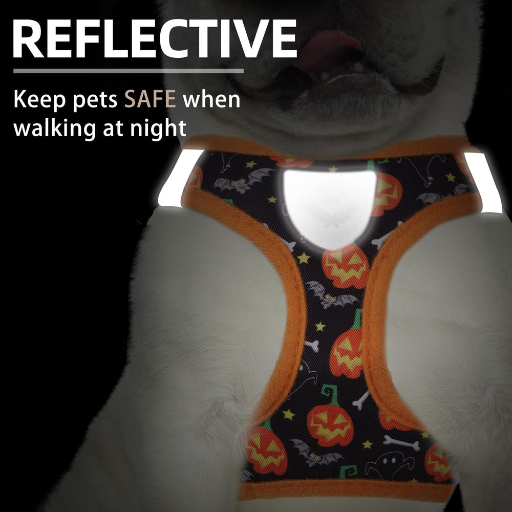 PUPTECK sistema reflectante y plaid para paseos nocturnos seguros.