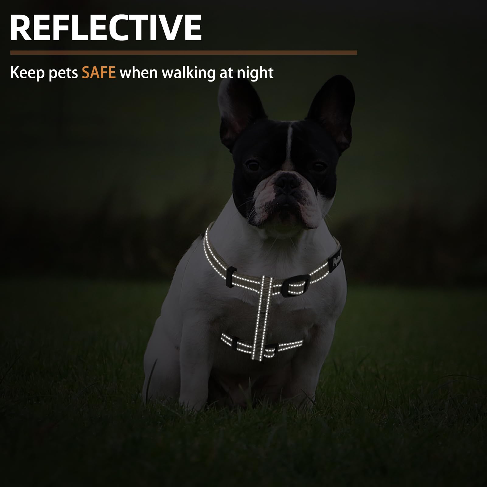 Tira reflectante Pupteck para mayor visibilidad nocturna.