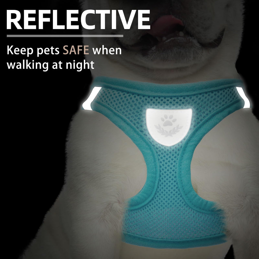 PUPTECK reflectante en dos lados para paseos nocturnos seguros.