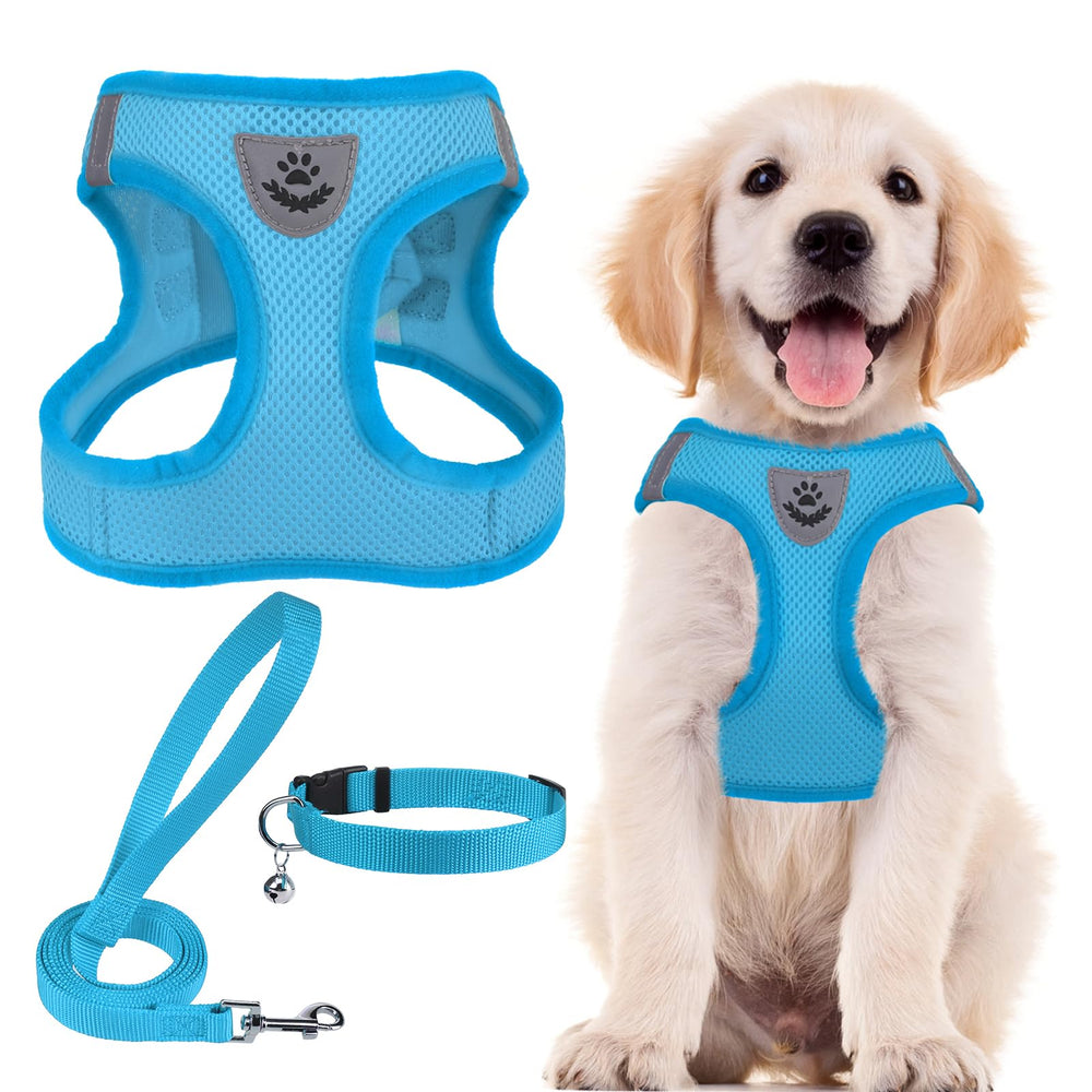 PUPTECK conjunto arnés-collar-leash paso-in, ideal para paseos diarios.