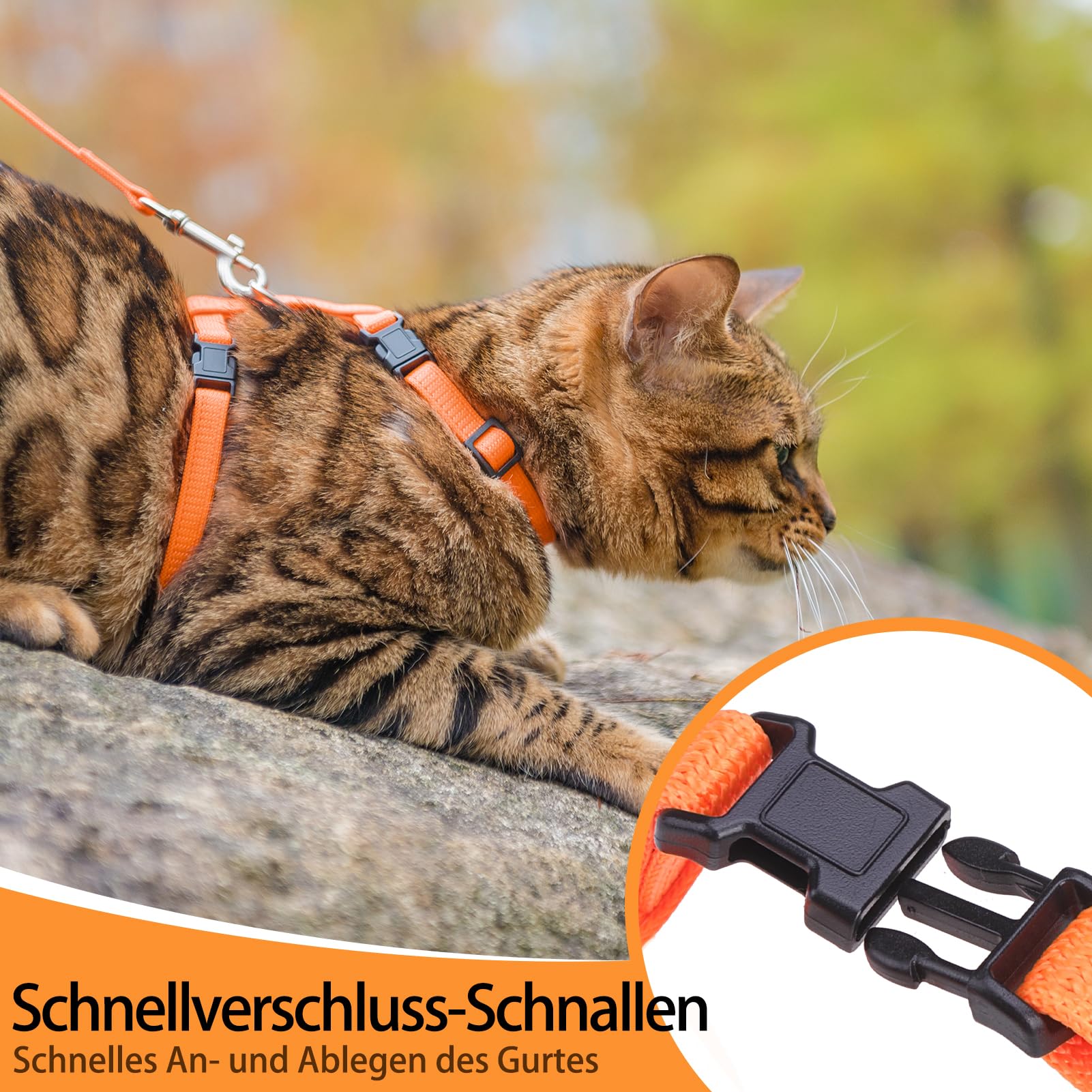 Conjunto de caminata para gatos PUPTECK, guía para paseos tranquilos.