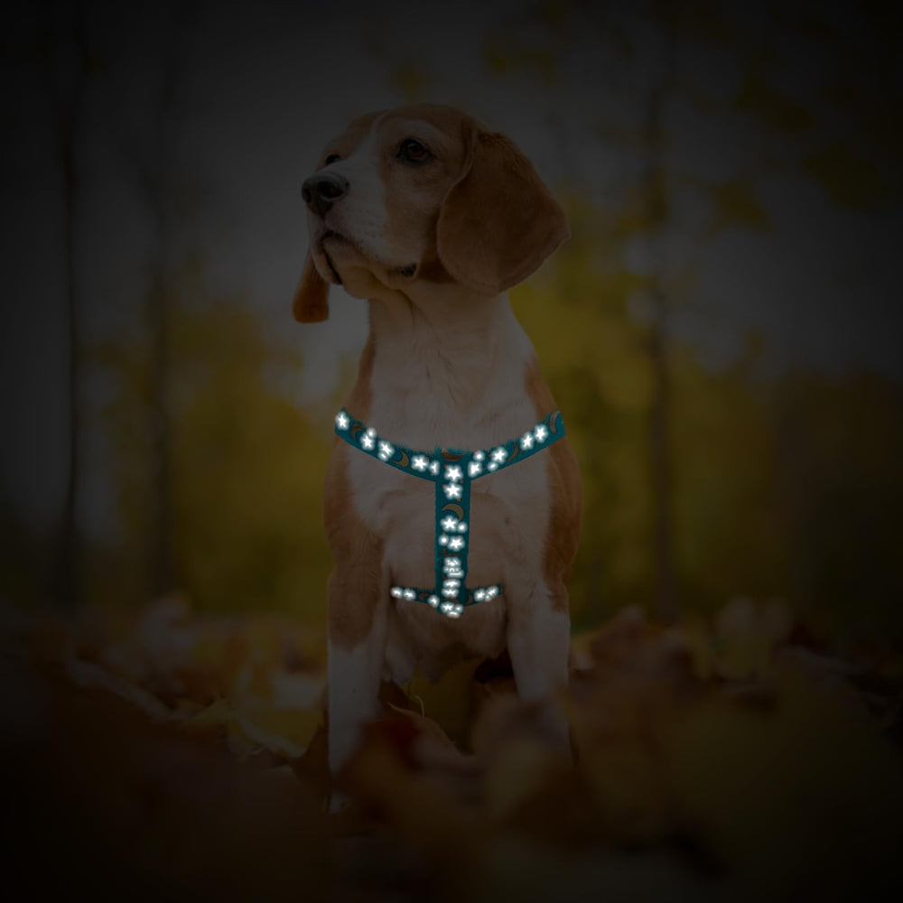 Pupteck Size Guide helps you select the right fit quickly