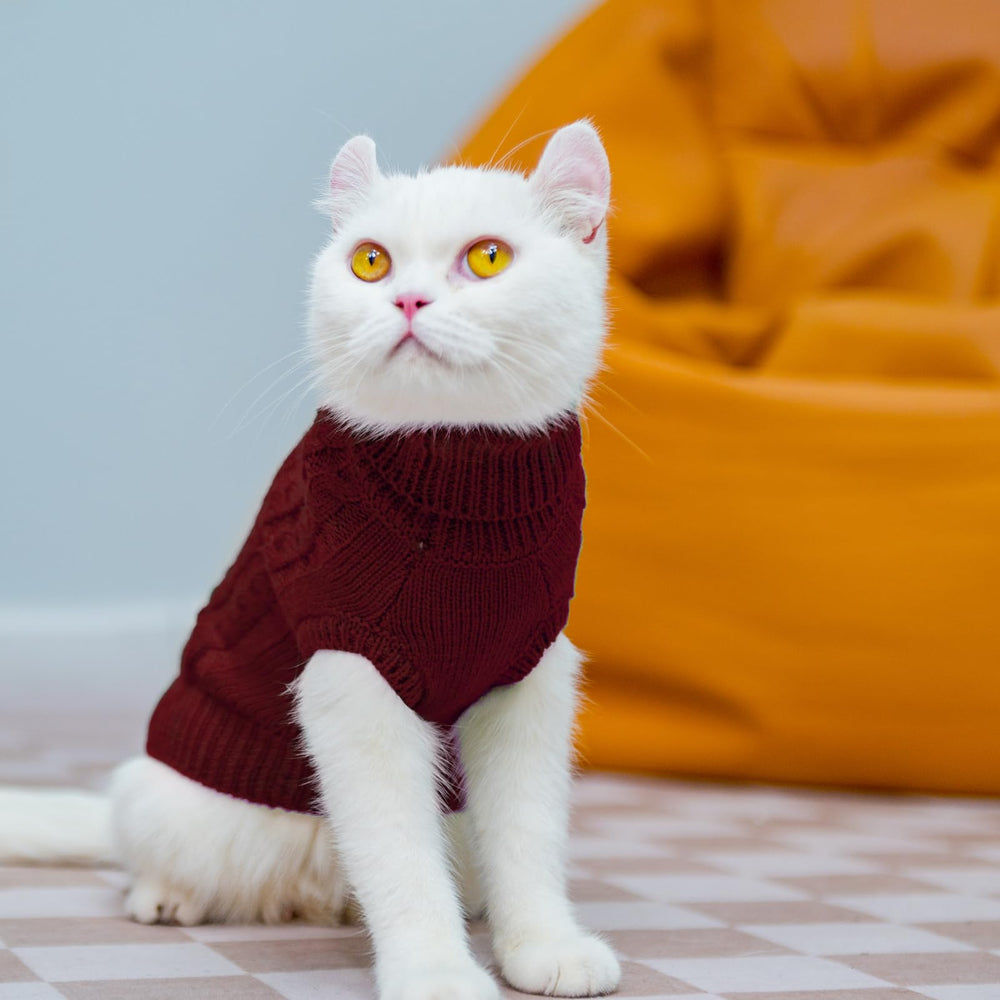 PUPTECK sudadera gato fácil de colocar: ponérselo rápido.