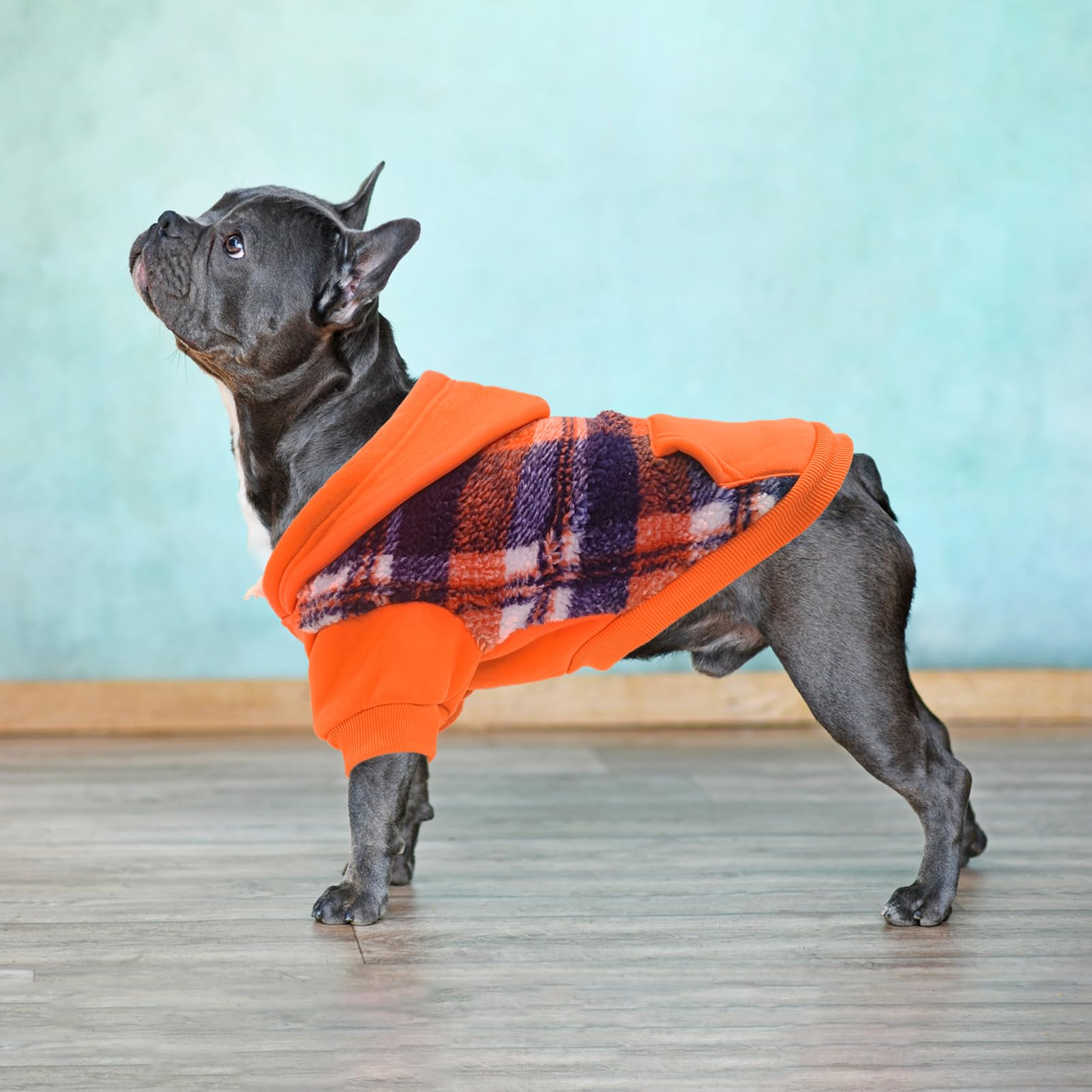 PUPTECK sudadera con bolsillo trasero para llaves y snacks