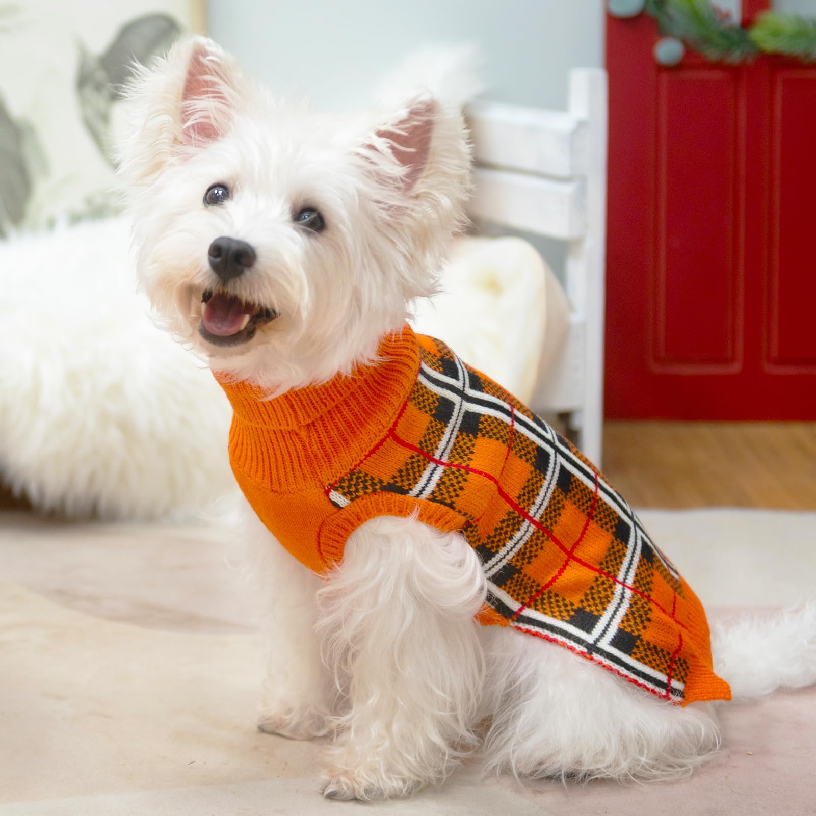 PUPTECK sudadera cálida y suave, ideal para paseos nocturnos