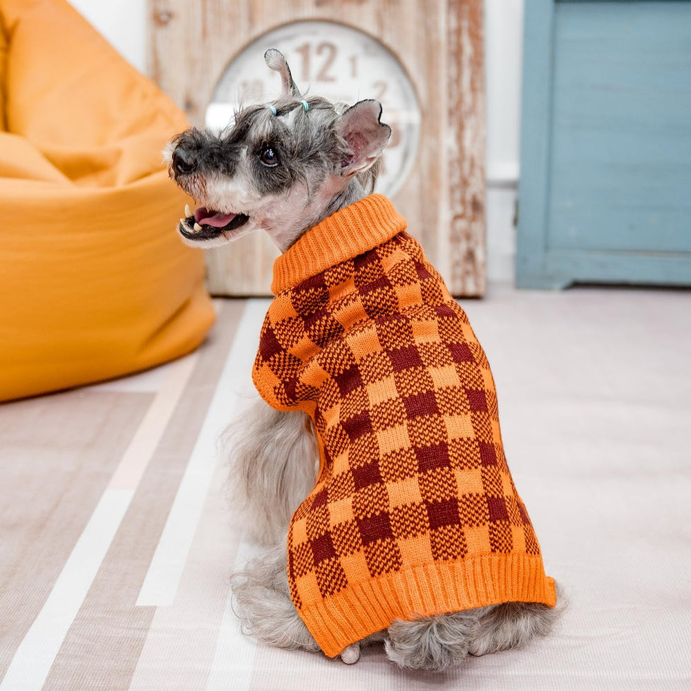 PUPTECK sudadera perro fácil de cuidar y lavar