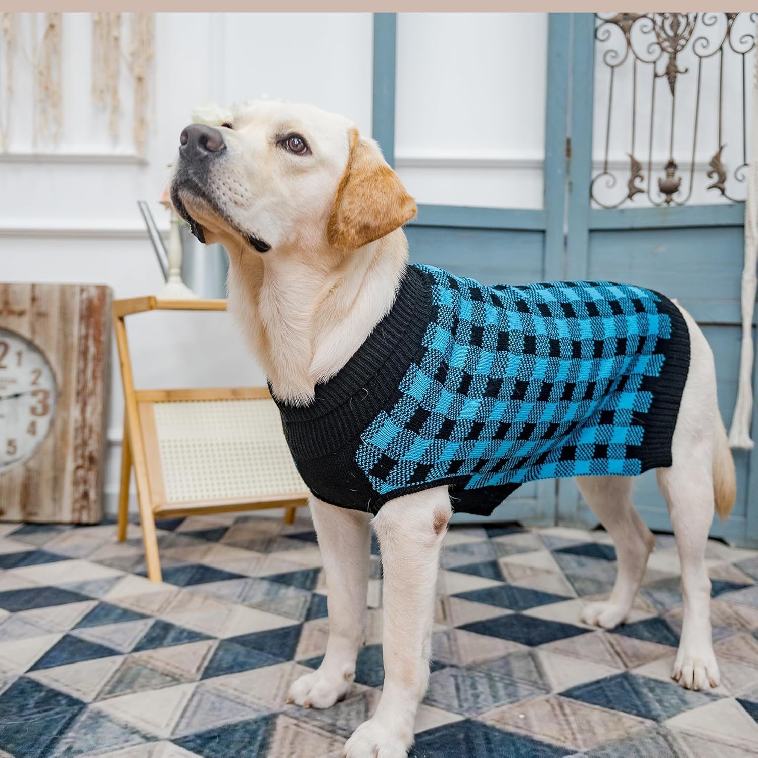 PUPTECK diseño fácil de poner, sin mangas para vestir rápido y cómodo.