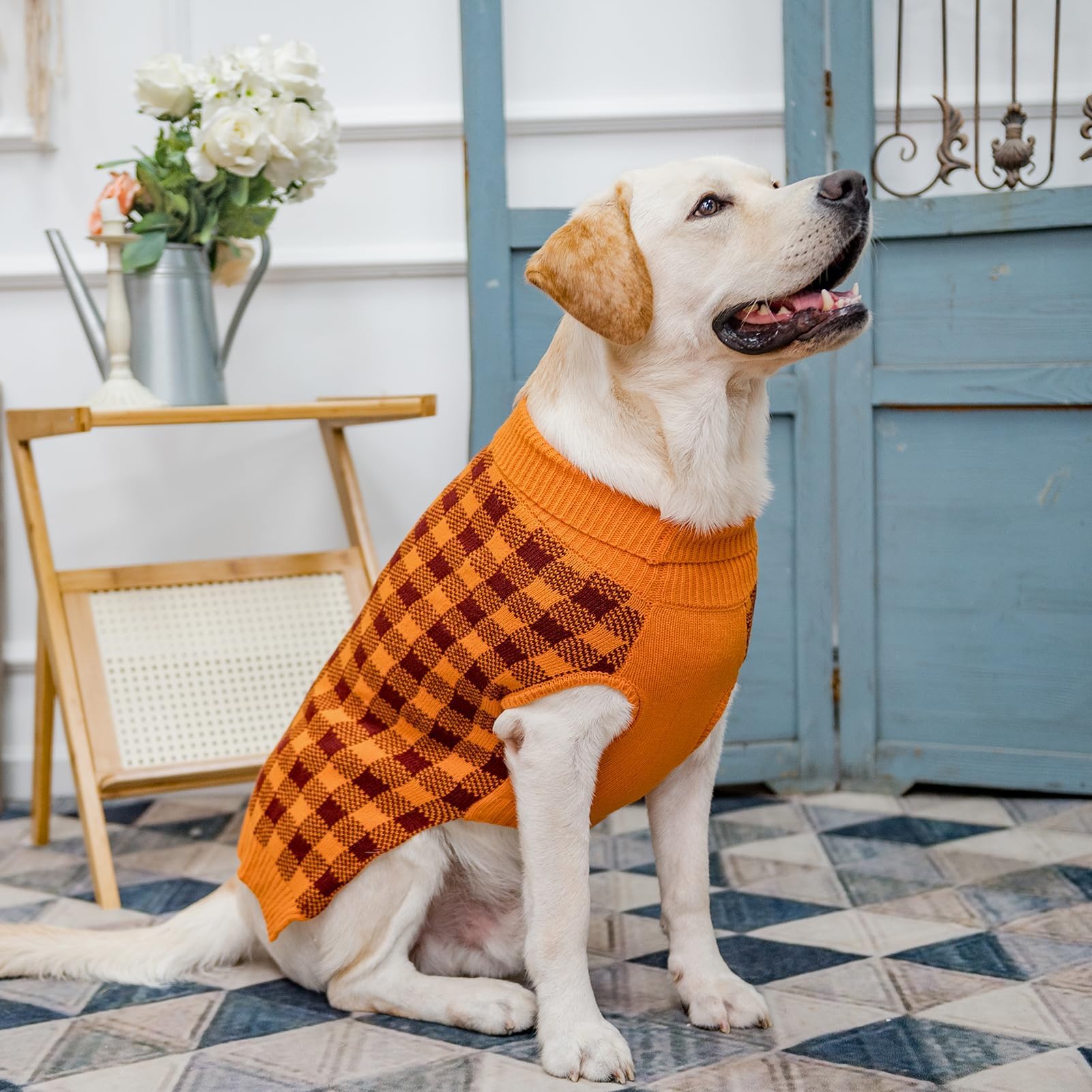 Sudadera PUPTECK de lavado fácil, cuidado sencillo