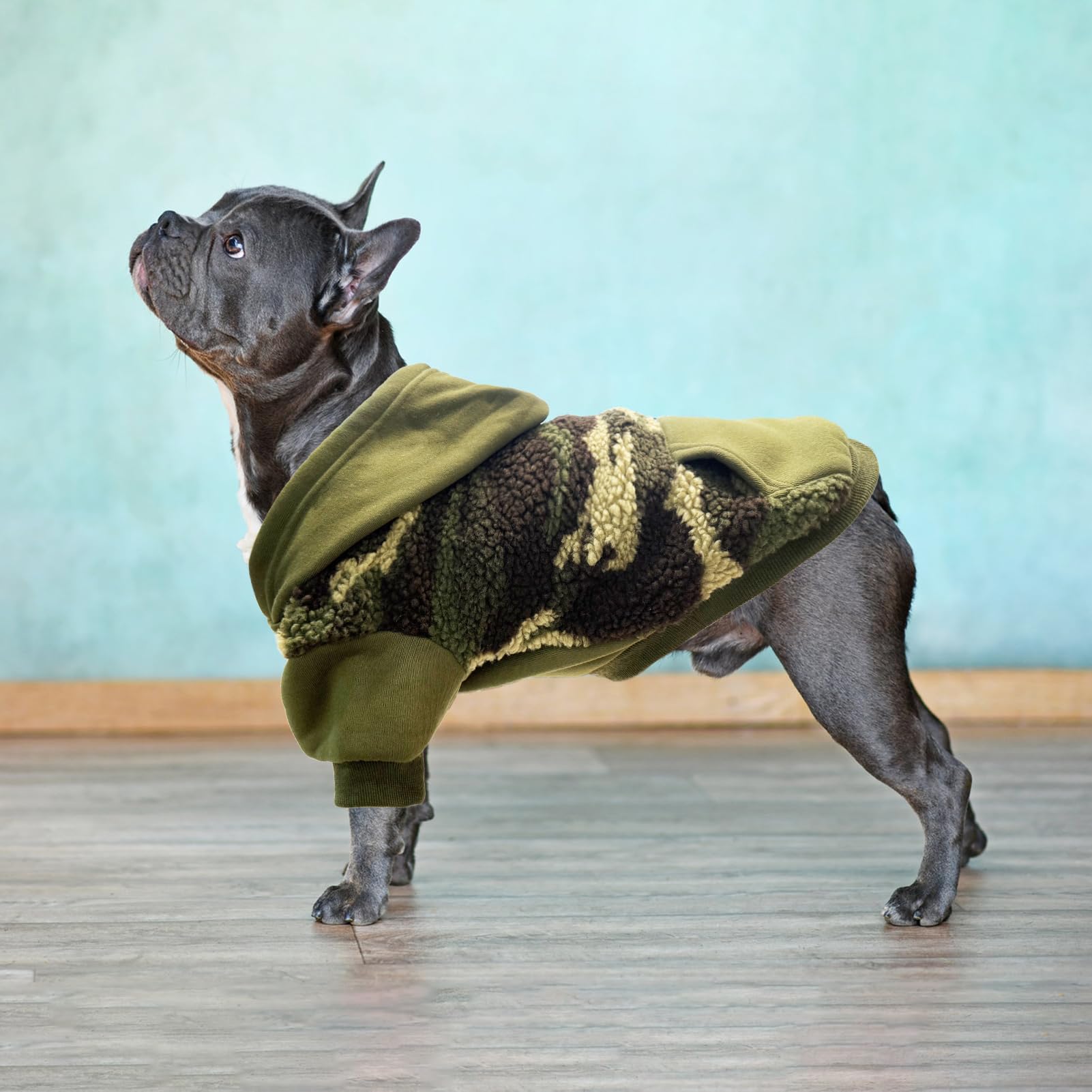 PUPTECK sudadera para uso diario en clima frío, diseño práctico para salidas.