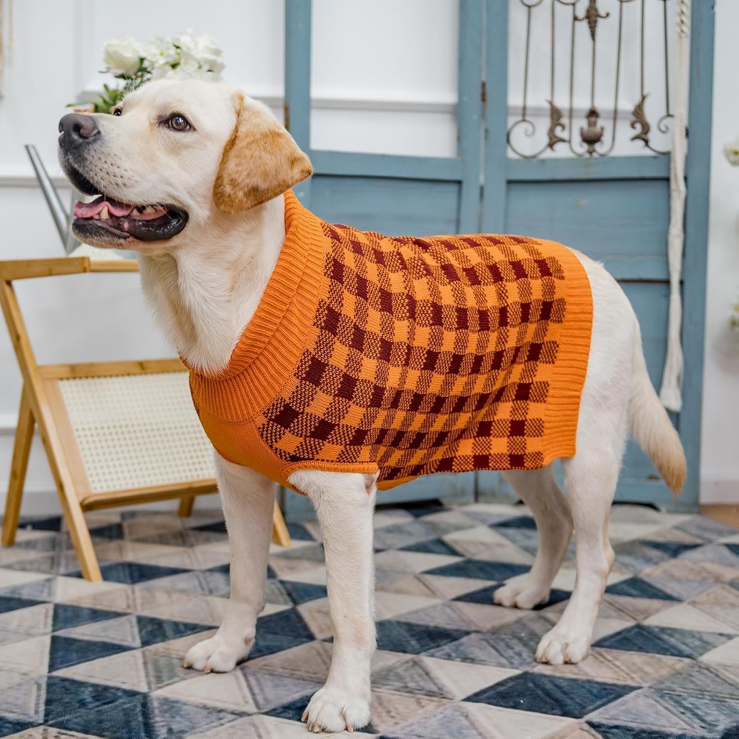 PUPTECK suéter sin mangas, diseño fácil de poner para mascotas activas