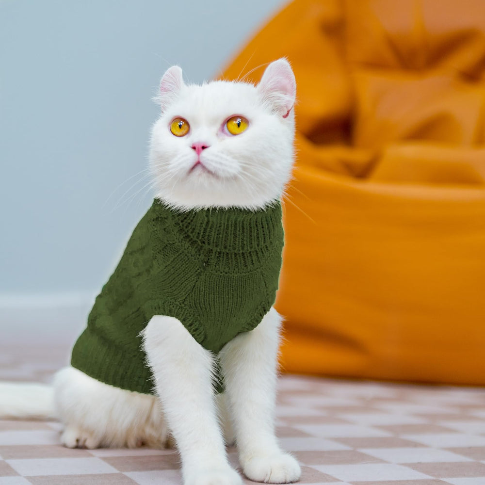 PUPTECK suéter de gatos lavable a máquina, práctico para el cuidado.