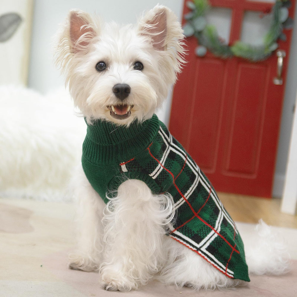 PUPTECK suéter acrílico verde, suave y fácil de cuidar para perros.