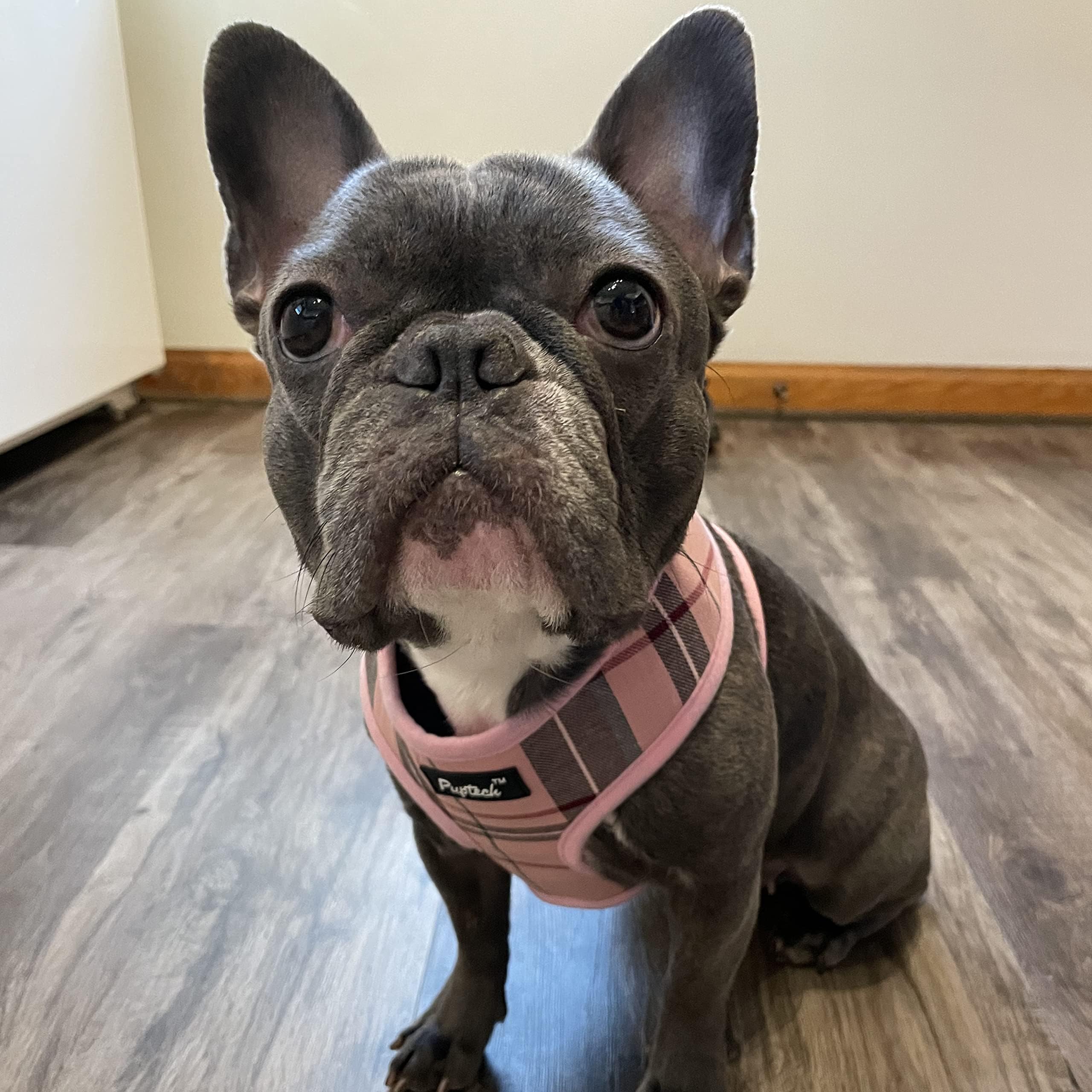 PUPTECK talla M: guía de ajuste para cuello no ajustable.
