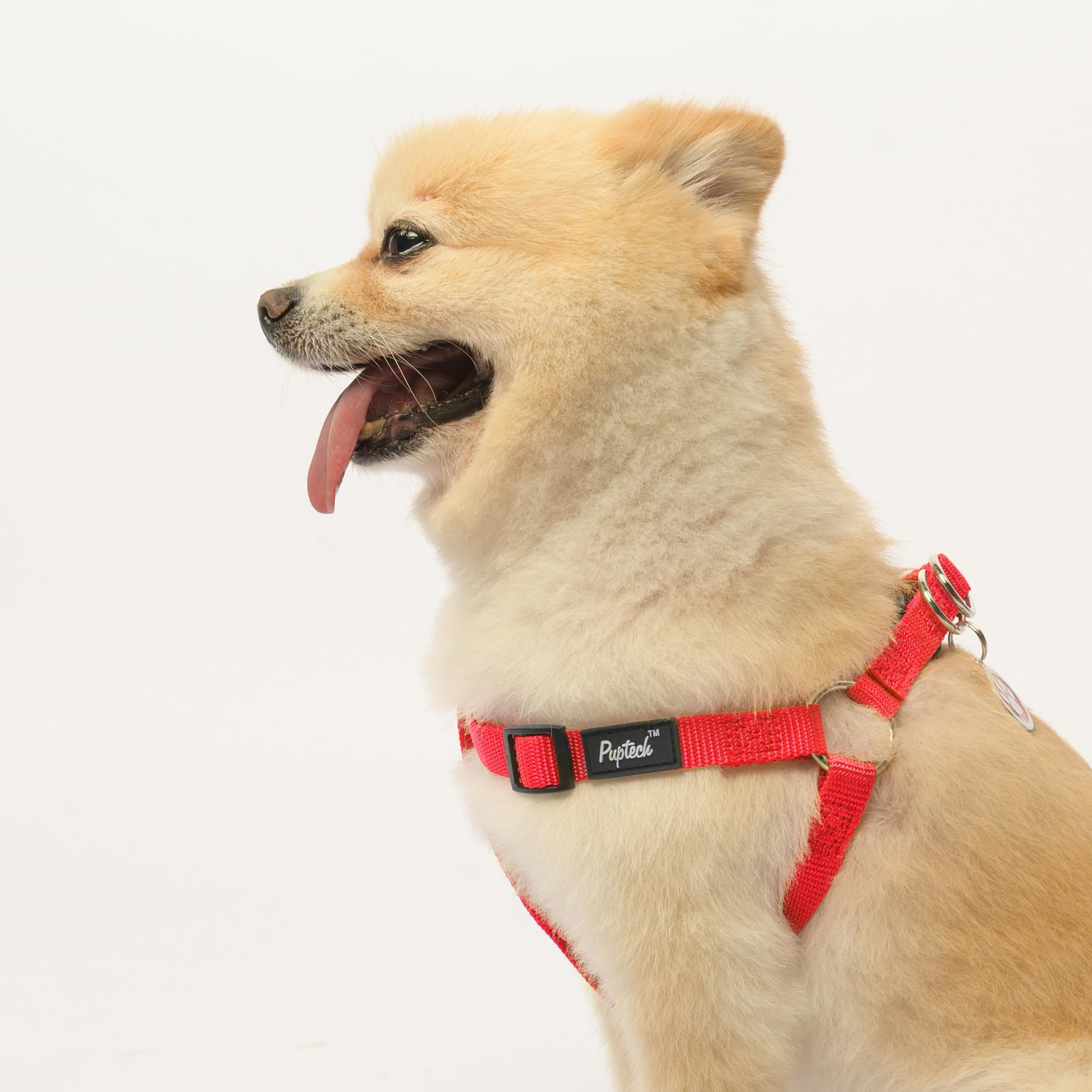 PUPTECK arnés talla XS para perro rojo, ajuste seguro