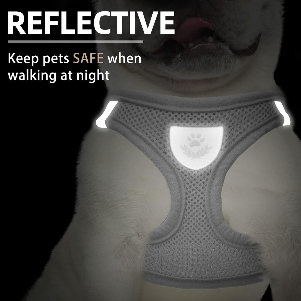 Guía de tallas PUPTECK para ajuste cómodo en pecho y cuello