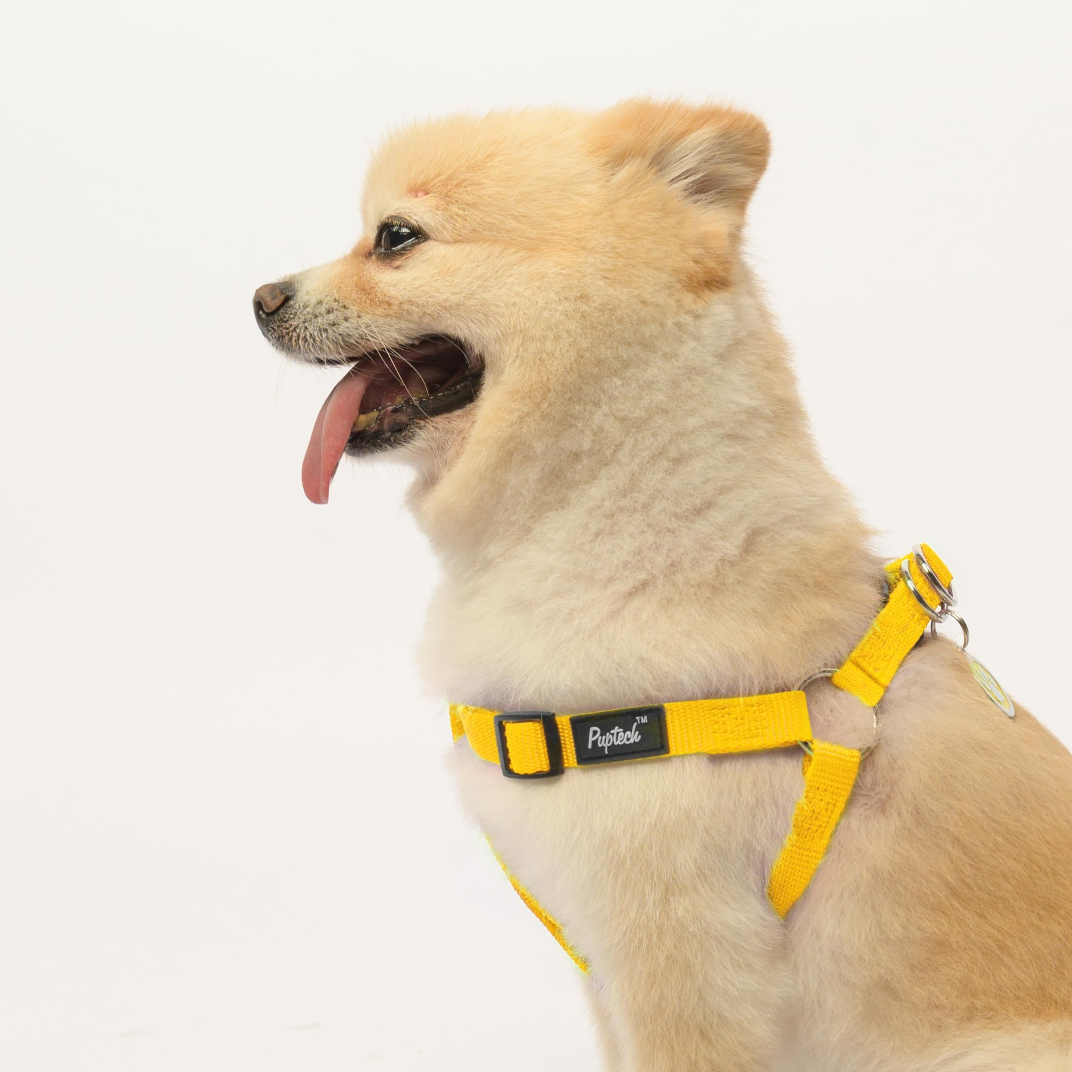 Tallas-diferentes Pupteck, ajuste para razas y medidas diversas.