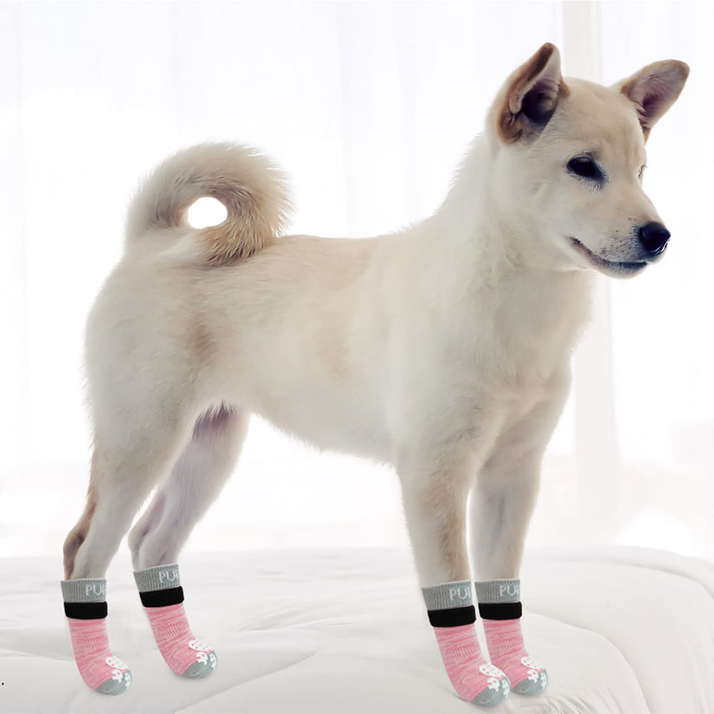 Tallas variadas de calcetines PUPTECK para diferentes razas.