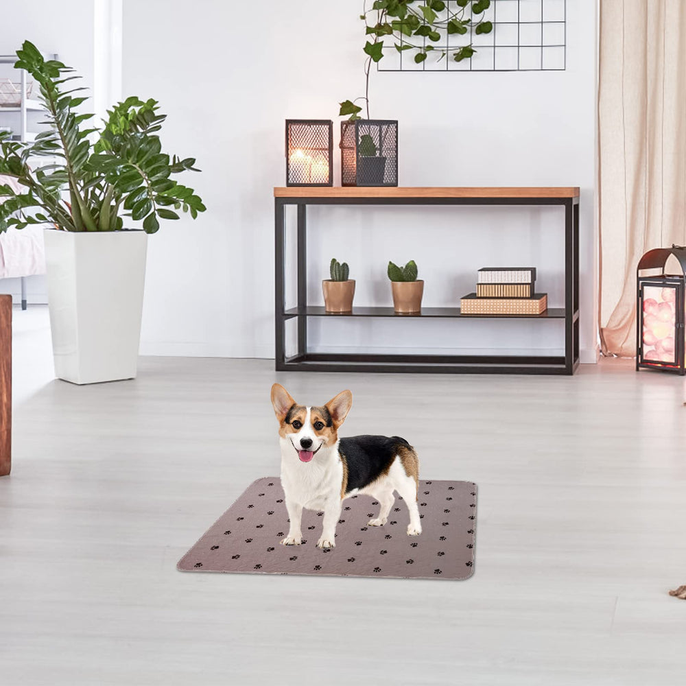 PUPTECK tapete-alimentacion-mascotas sirve como base para comederos y bebederos.