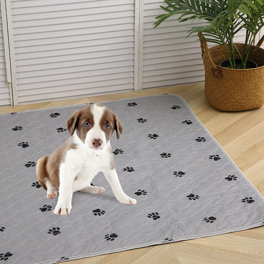 Ideal para jaulas y transportines con tapete PUPTECK