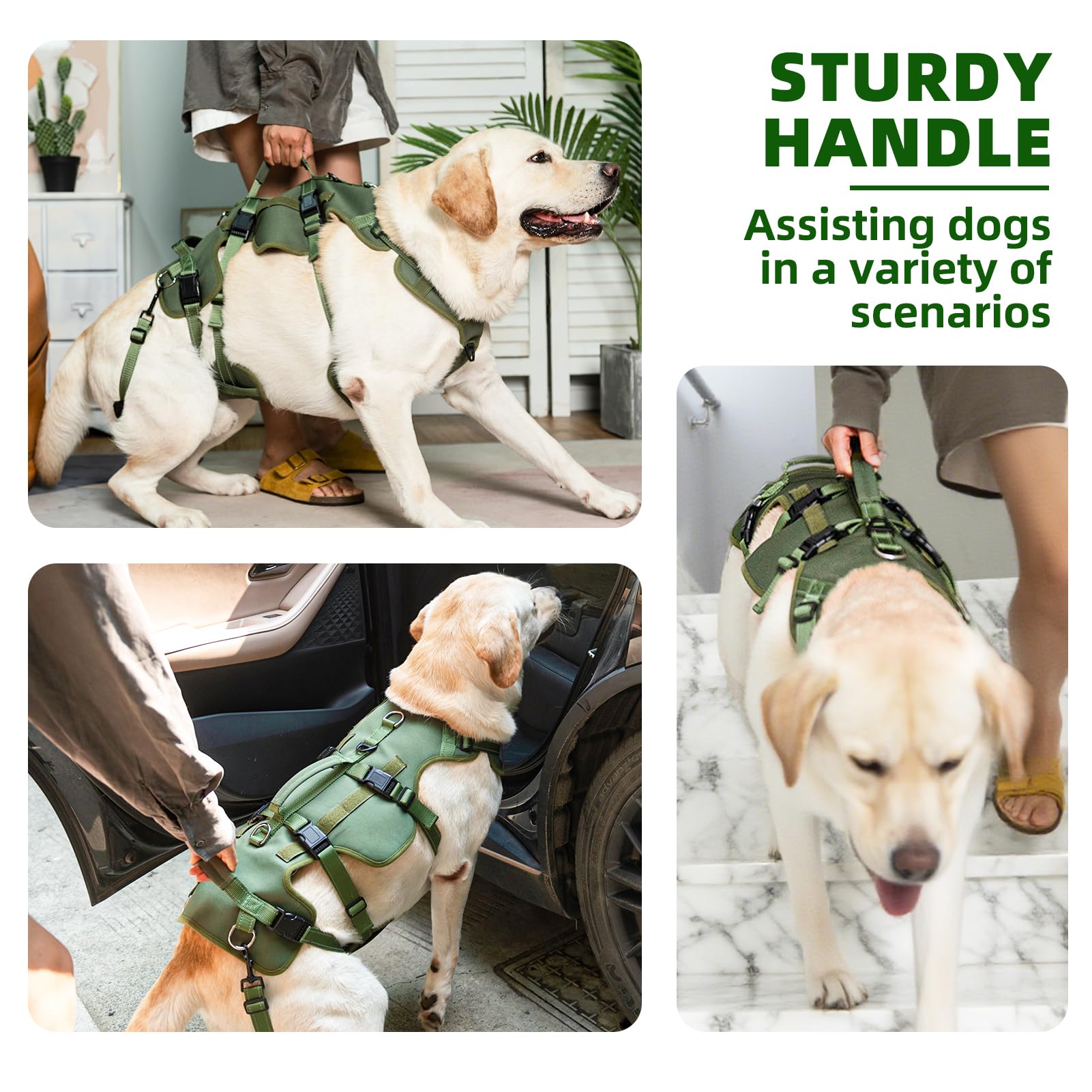 Tejido nylon malla transpirable de PUPTECK para mayor comodidad.