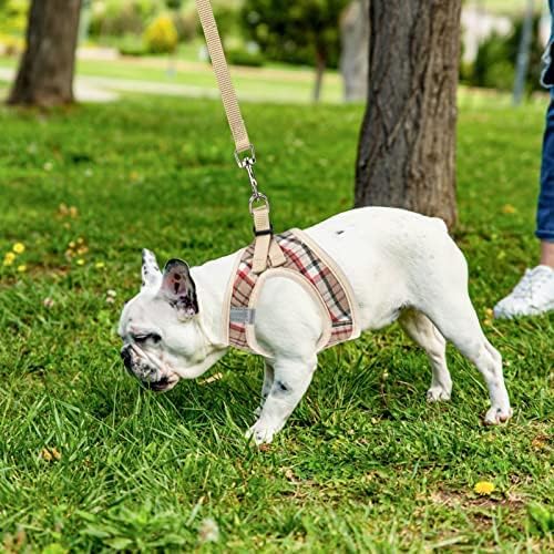 PUPTECK conjunto ideal para caminatas y juegos al aire libre.