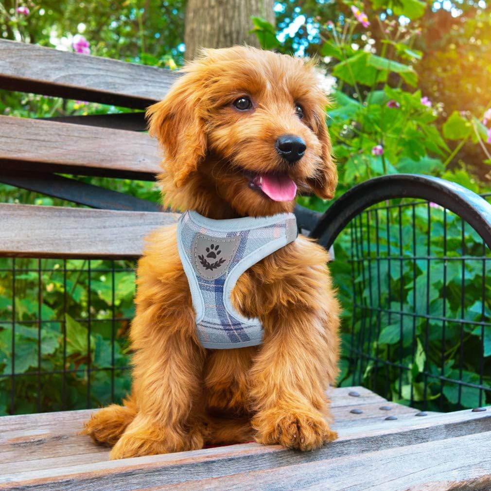 PUPTECK uso-diario-exterior: perfecto para caminatas, correr o explorar.