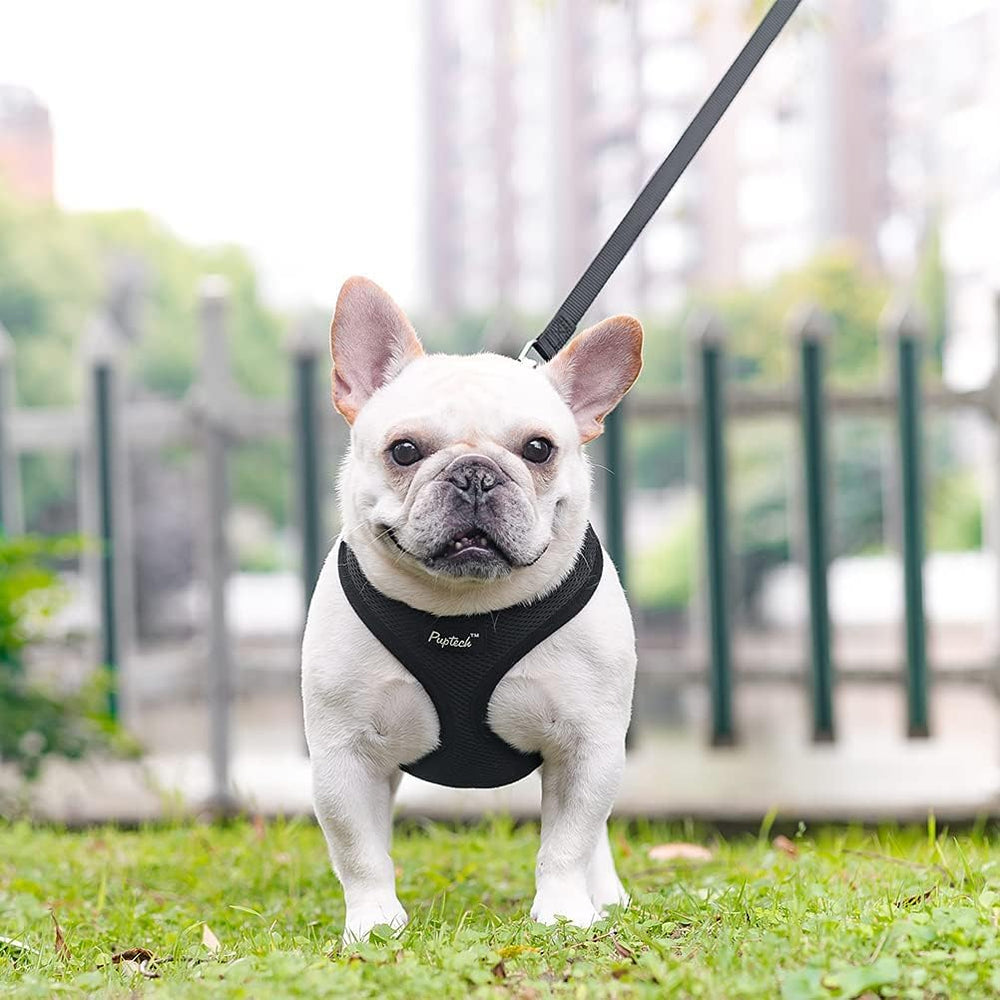 PUPTECK uso en todas las estaciones mantiene a tu mascota cómoda.