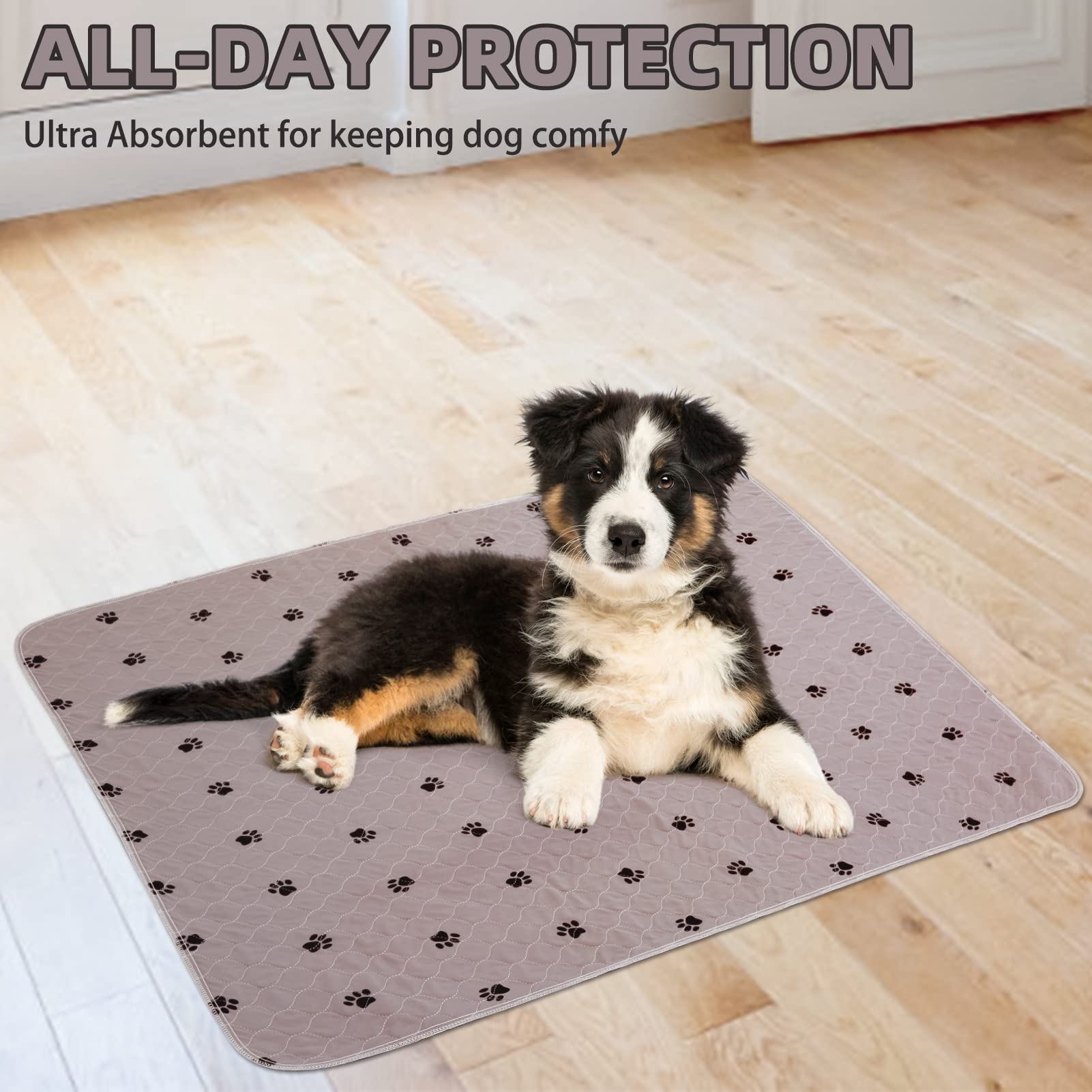 Pupteck usos multiples para perros, gatos y otros animales.