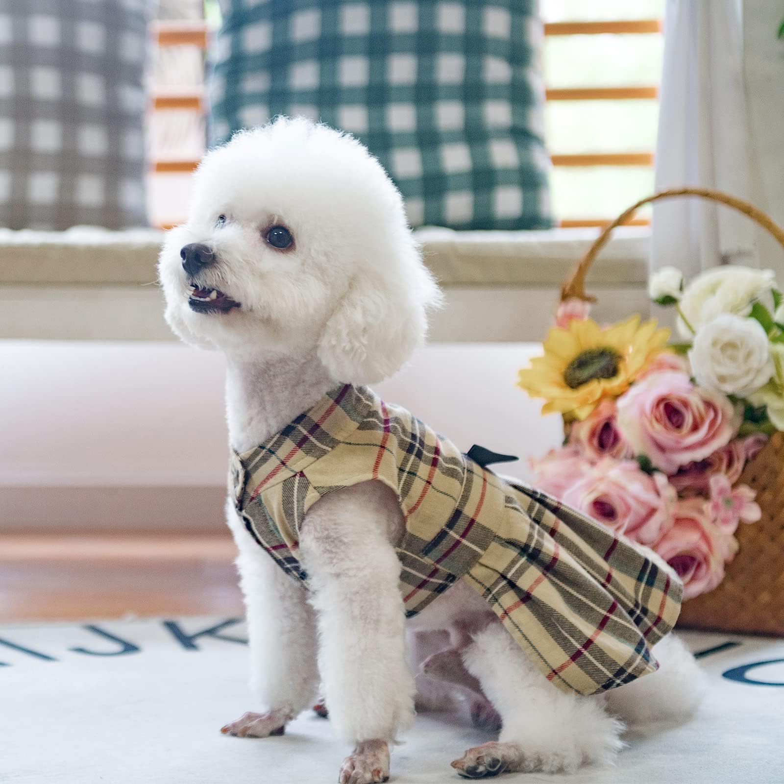 PUPTECK vestido ligero ideal para perros que se calientan.
