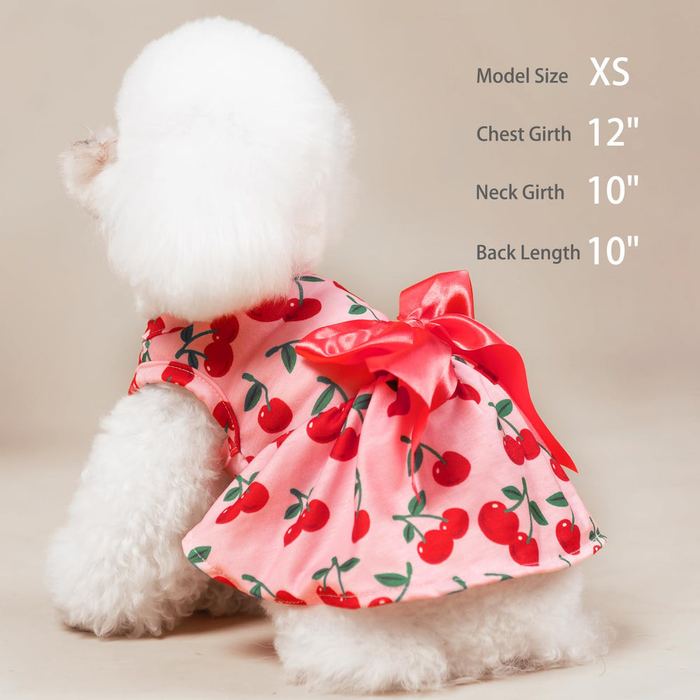 PUPTECK vestido para cumpleaños con estilo único para mascotas.