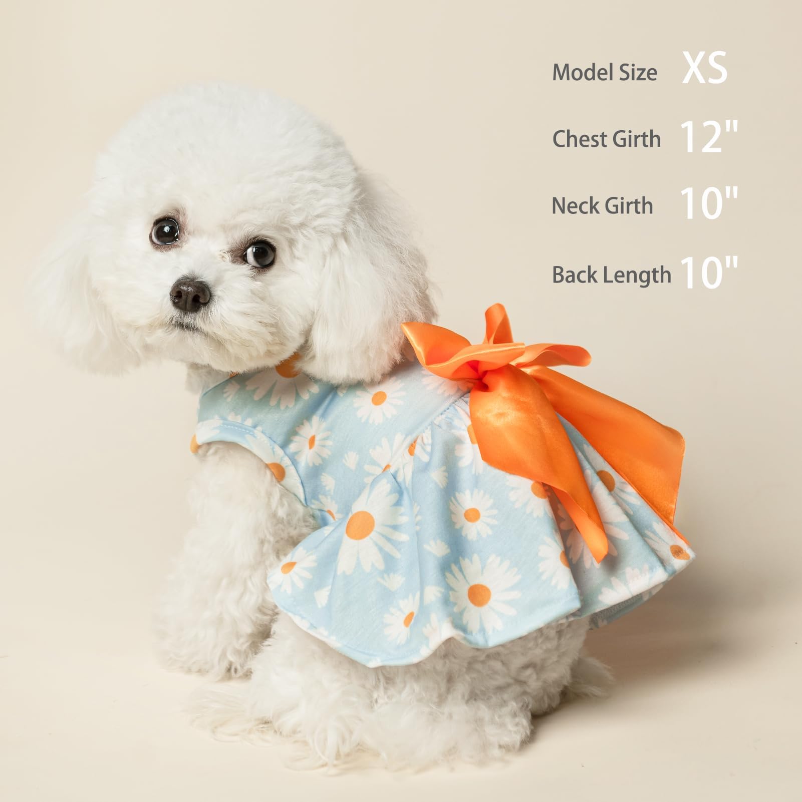 Vestido canino floral PUPTECK Margarita, ideal para paseos y fotos