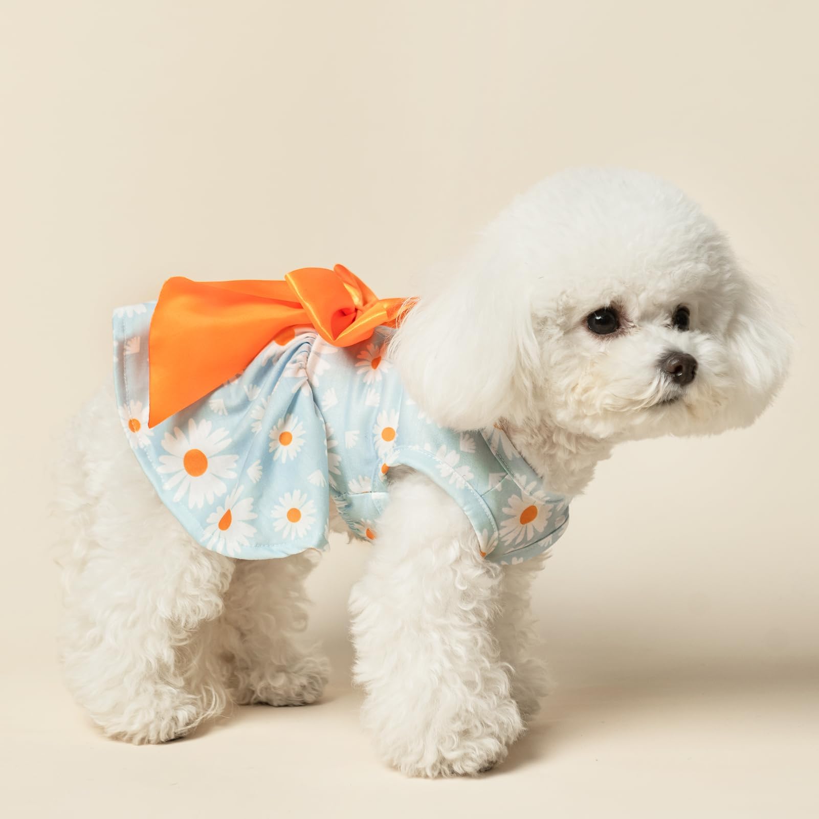 PUPTECK Margarita L, vestido floral para mascotas pequeñas, uso diario