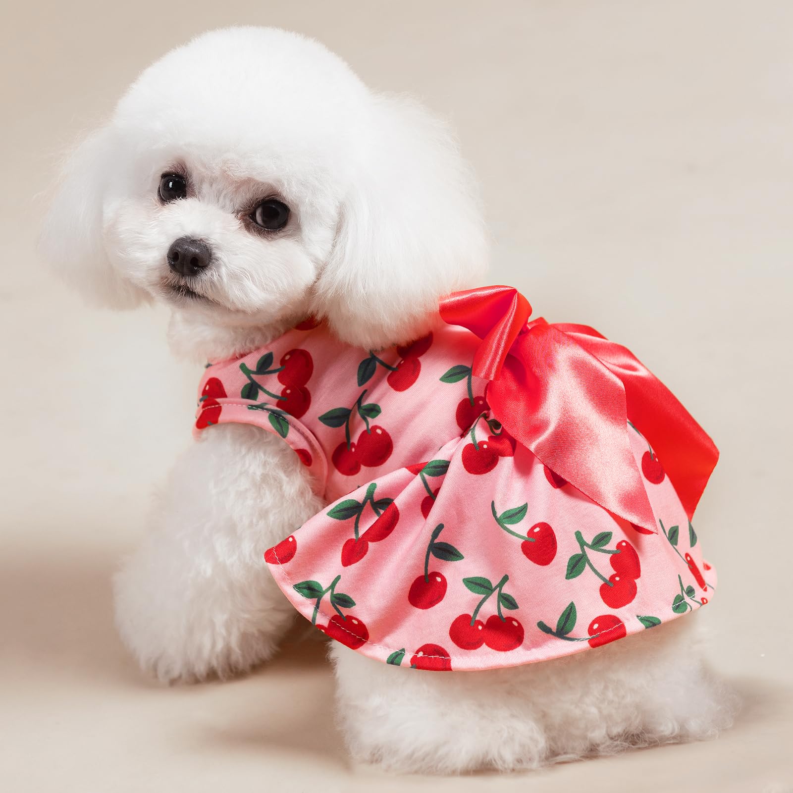 PUPTECK vestido para San Valentín, adorable y elegante.